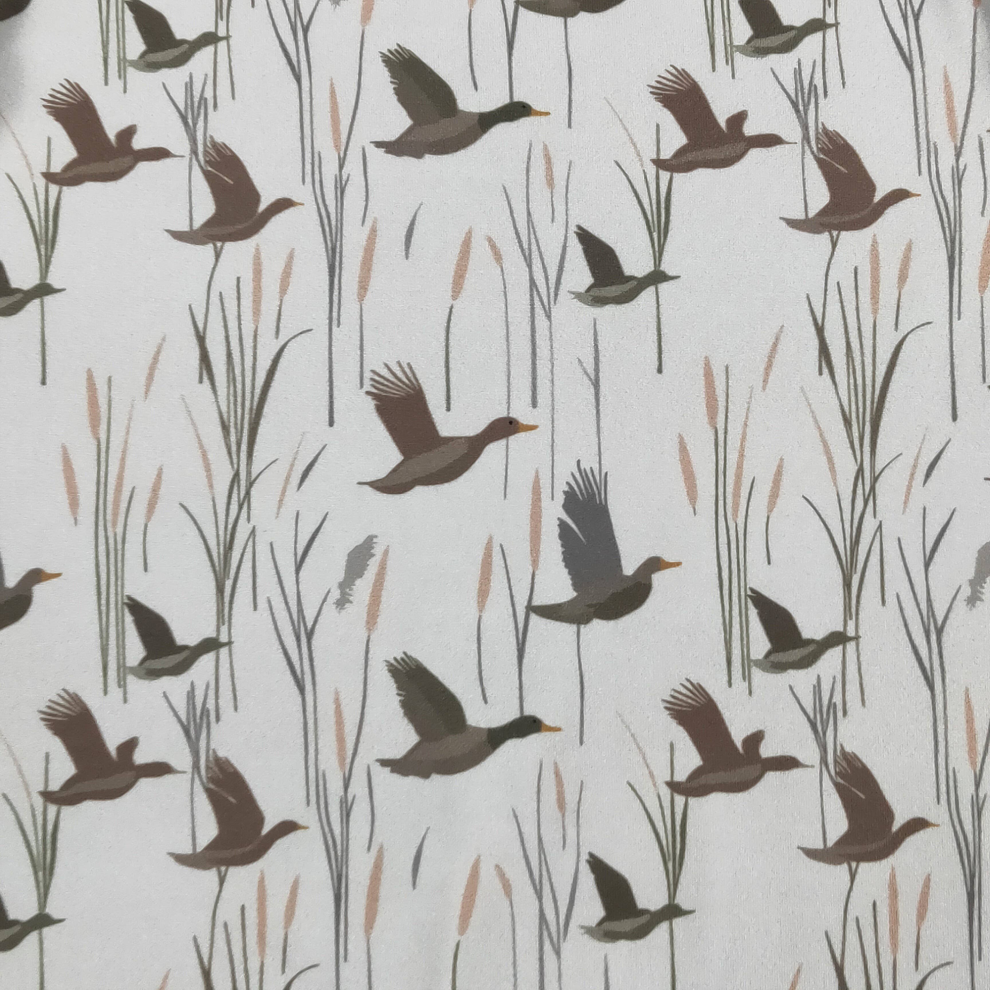 Duck Flight Boy Romper: 12/24 mo