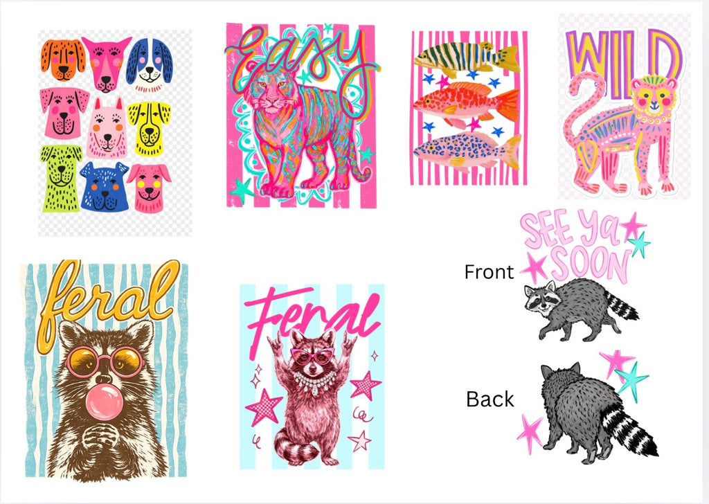 Colorful Funny Designs adult/youth