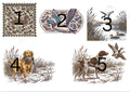 Duck Hunting Designs