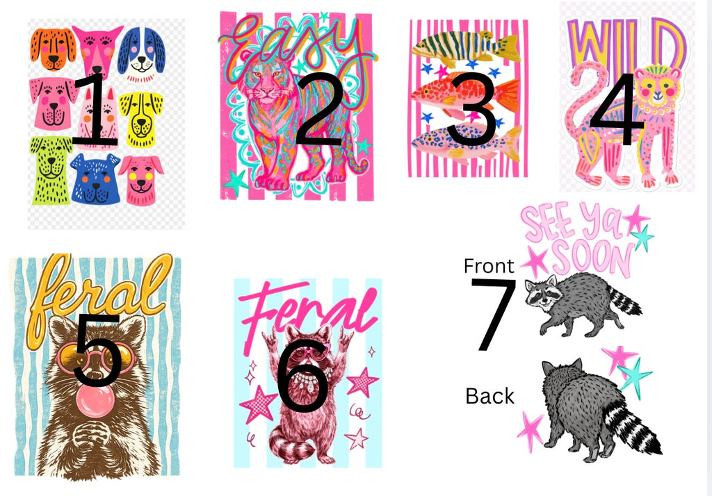 Colorful Funny Designs adult/youth